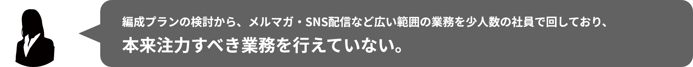 編成プランの検討から、メルマガ‧SNS配信など広い範囲の業務を少⼈数の社員で回しており、本来注⼒すべき業務を⾏えていない。